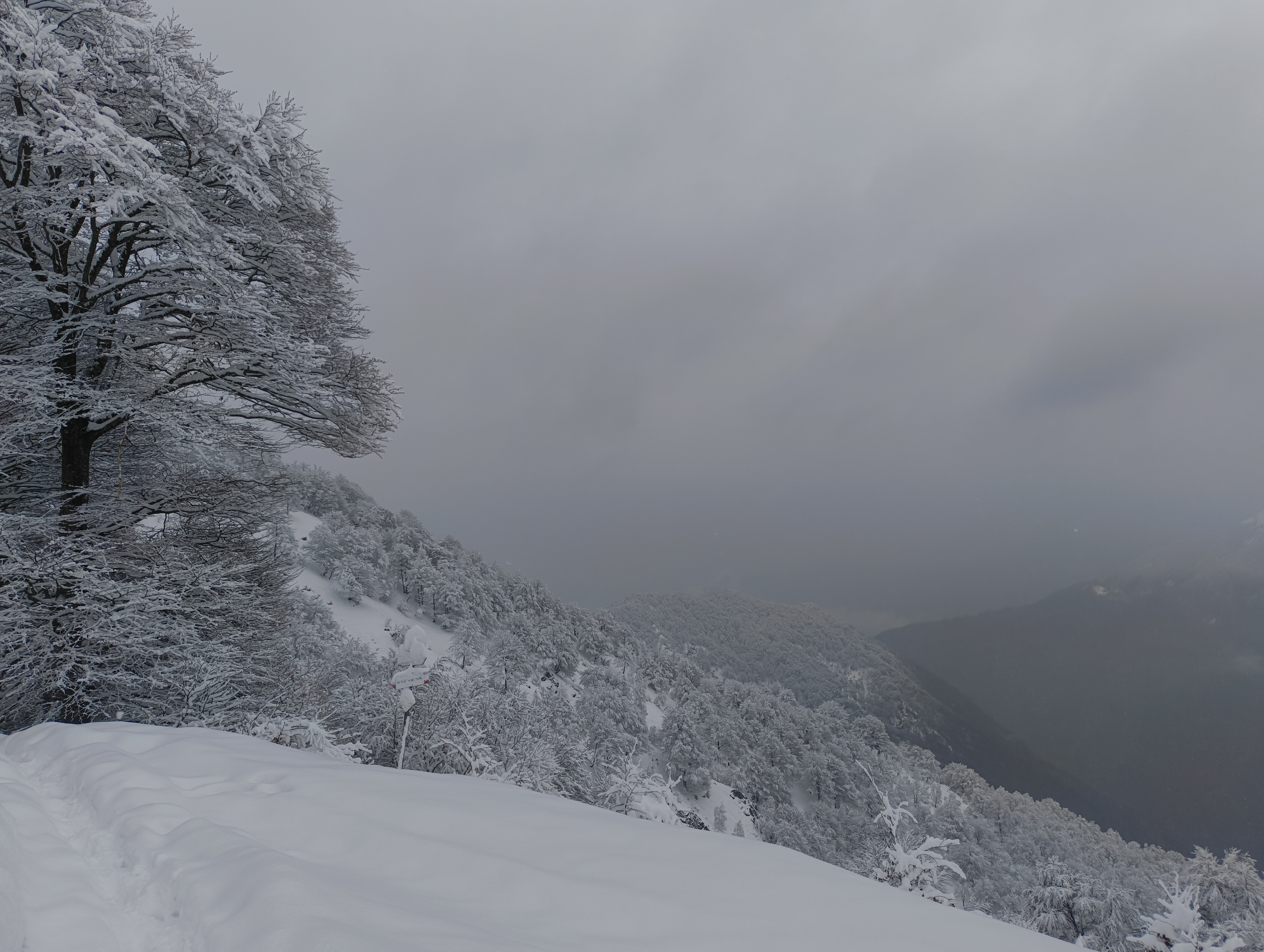 Foto n° 22 del trekking Bivacco del Gufo - Pizzo Pernice │ Alpe Curgei